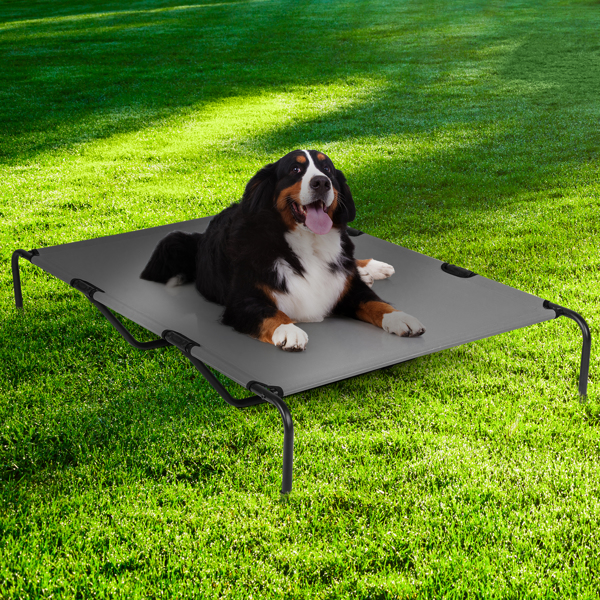 60"D x 37"W x 9"H  Dog Bed