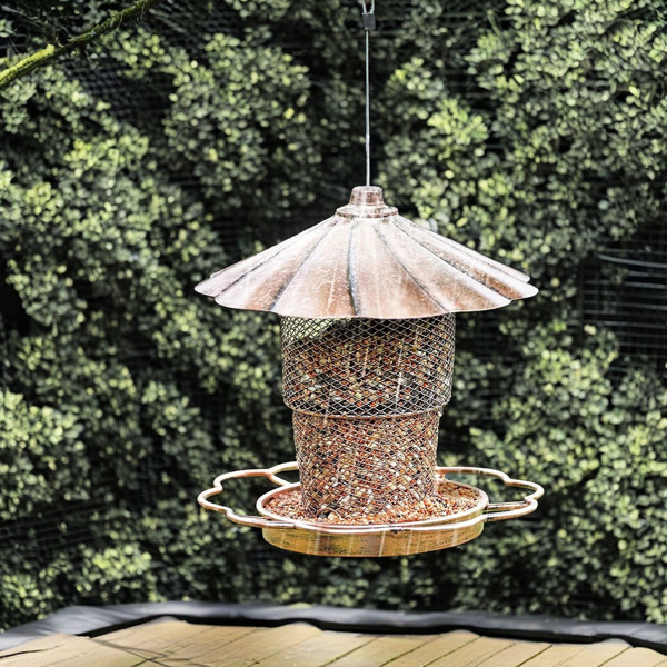 Bird Feeder with Lid