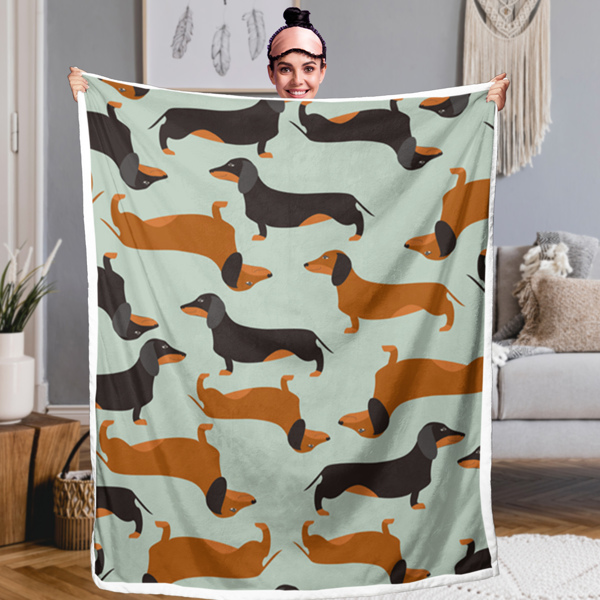 Dachshund Printed Sherpa Fleece Blanket 60*80 Inches Soft Warm Cozy Air Conditioning Nap Blanket for Girls Boys Adults Toddler Bedroom Decor Gifts