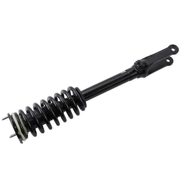 Front Strut with Coil Spring Assembly For Mercedes-Benz R320 R350 R500 R63 AMG 2006-2013 2513200330