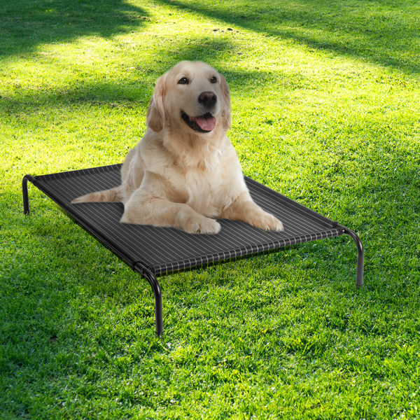 50"D x 31"W x 8"H Dog Bed