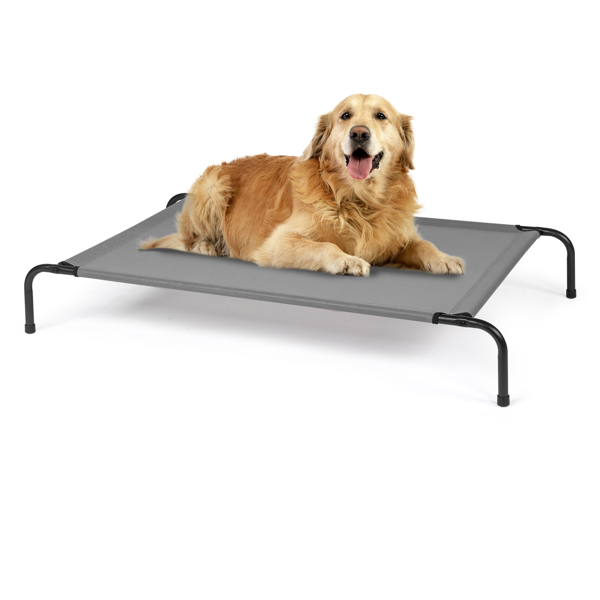 50"D x 31"W x 8"H  Dog Bed 