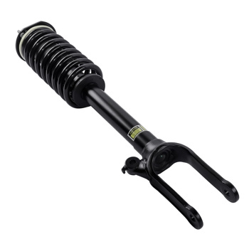 Front Strut with Coil Spring Assembly For Mercedes-Benz R320 R350 R500 R63 AMG 2006-2013 2513200330