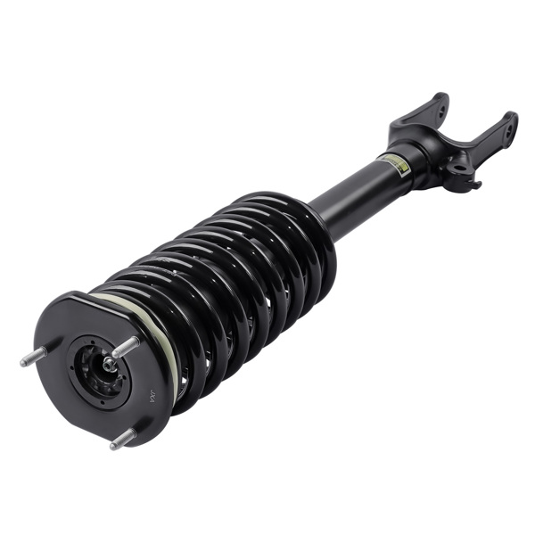 Front Strut with Coil Spring Assembly For Mercedes-Benz R320 R350 R500 R63 AMG 2006-2013 2513200330