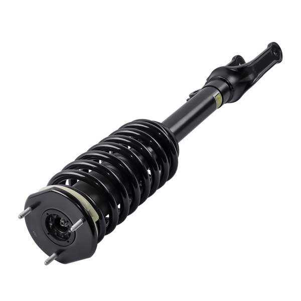 Front Strut with Coil Spring Assembly For Mercedes-Benz R320 R350 R500 R63 AMG 2006-2013 2513200330