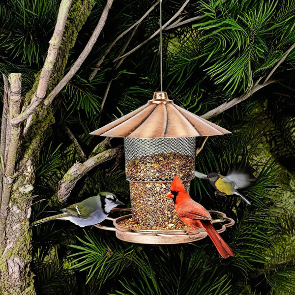 Bird Feeder with Lid