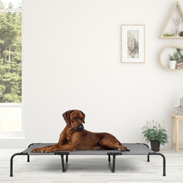 60"D x 37"W x 9"H  Dog Bed