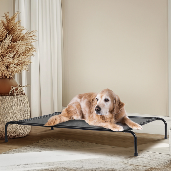 50"D x 31"W x 8"H Dog Bed