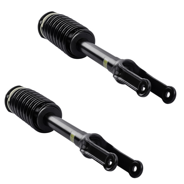 Set of 2 Front Shock Strut & Coil Spring Assys For Mercedes R320 R350 R500 2006-2013 2513200730