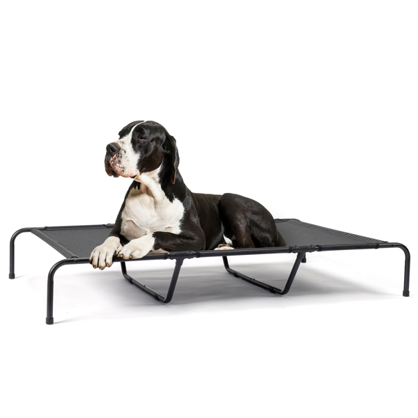 60"D x 37"W x 9"H  Dog Bed