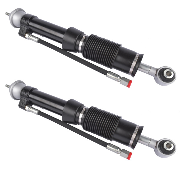 2Pcs Hydraulic Shock Strut Rear Left & Right For Mercedes W140 S320 S500 1992-1999 1403209313