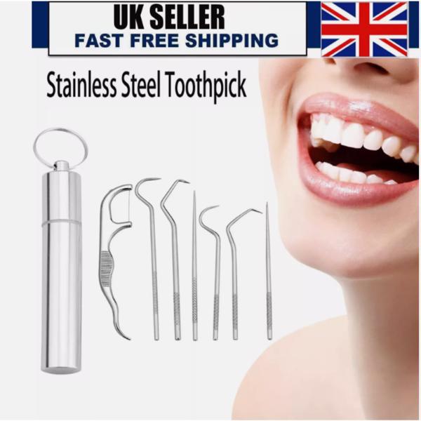 7 PCS Toothpick Set Metal Stainless Steel Oral Tooth Cleaning with Storage Tube