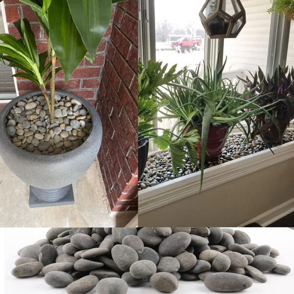 18 LB Mexican Beach Pebbles, 1-2 Inch Decorative River Rocks for Landscaping Garden Paving Plant Rocks Crafting Walkways Backyard, Decorative Stone and Natural Unpolished Bulk Rocks, Grey