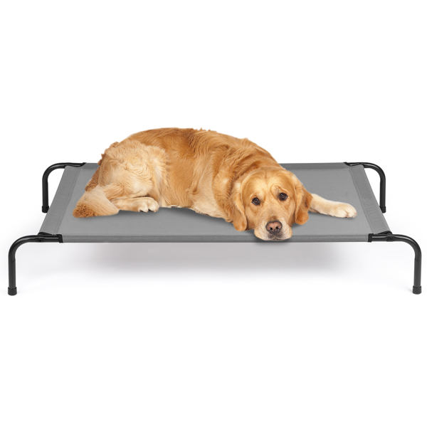 50"D x 31"W x 8"H  Dog Bed 