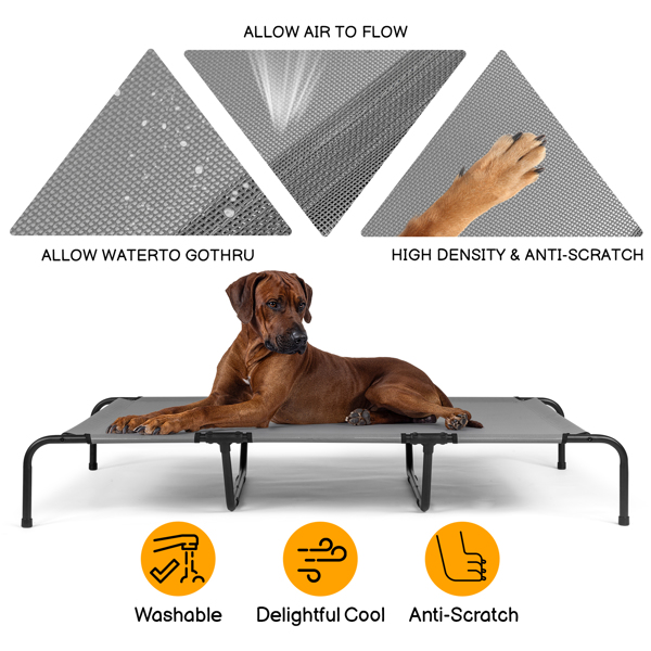 60"D x 37"W x 9"H  Dog Bed