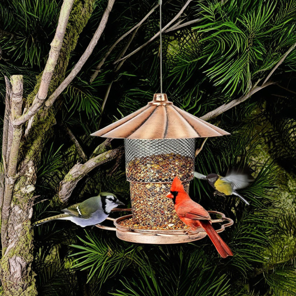 Bird Feeder with Lid