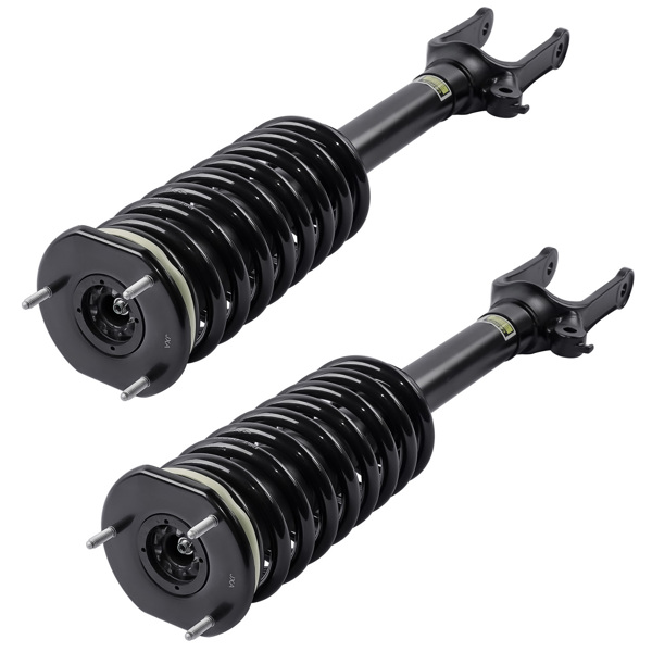 Set of 2 Front Shock Strut & Coil Spring Assys For Mercedes R320 R350 R500 2006-2013 2513200730