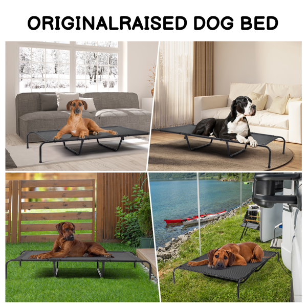 60"D x 37"W x 9"H  Dog Bed