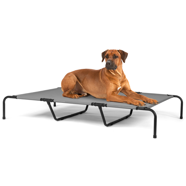 60"D x 37"W x 9"H  Dog Bed