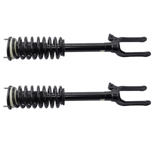 Set of 2 Front Shock Strut & Coil Spring Assys For Mercedes R320 R350 R500 2006-2013 2513200730