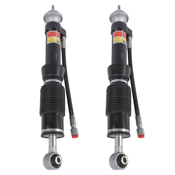 2Pcs Hydraulic Shock Strut Rear Left & Right For Mercedes W140 S320 S500 1992-1999 1403209313