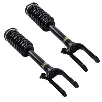 Set of 2 Front Shock Strut & Coil Spring Assys For Mercedes R320 R350 R500 2006-2013 2513200730