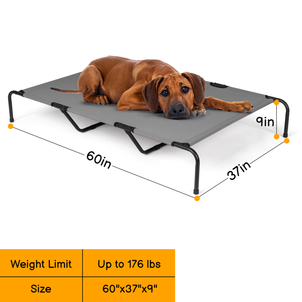 60"D x 37"W x 9"H  Dog Bed