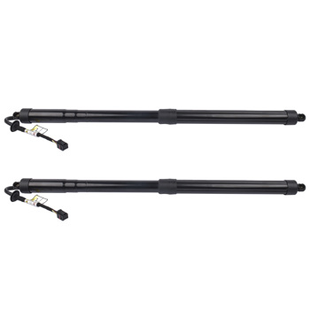 Pair Rear Left / Right Power Hatch Lift Support for Infiniti JX35 2013 QX60 2014-2017 2.5L 3.5L 905603JA0D