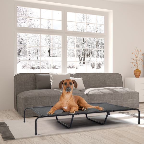 60"D x 37"W x 9"H  Dog Bed