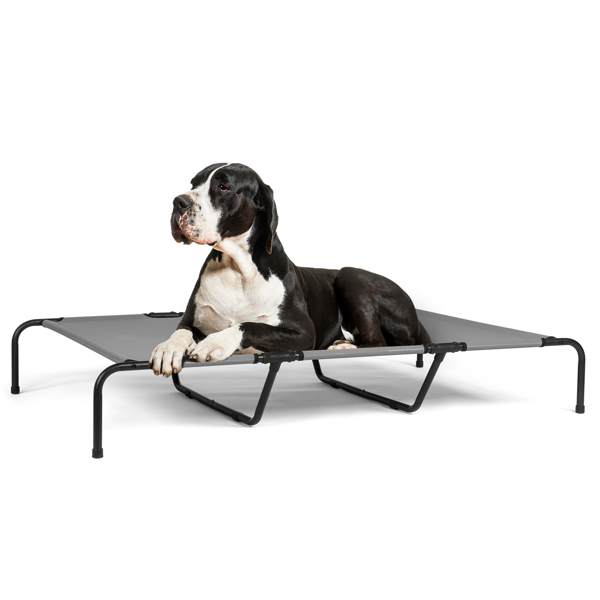 60"D x 37"W x 9"H  Dog Bed