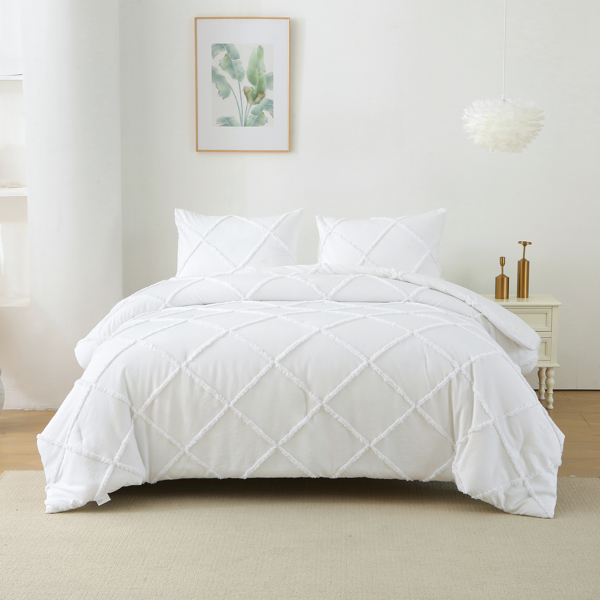 Queen Comforter Set, 3 Pieces Boho Tufted Bedding Set with 1 Down Alternative Comforter and 2 Pillow Shams, White