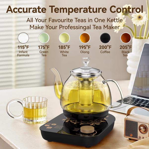 Compact Tea Maker Electric Glass Kettle，Dual Methods of Steaming and Brewing with Temperature and Timer Programs，Cordless 800W 0.8 Liters capacity for get your favorite teas.