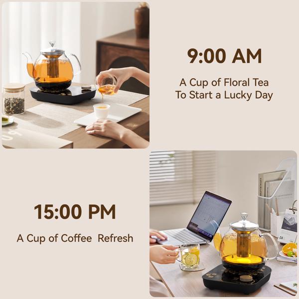 Compact Tea Maker Electric Glass Kettle，Dual Methods of Steaming and Brewing with Temperature and Timer Programs，Cordless 800W 0.8 Liters capacity for get your favorite teas.