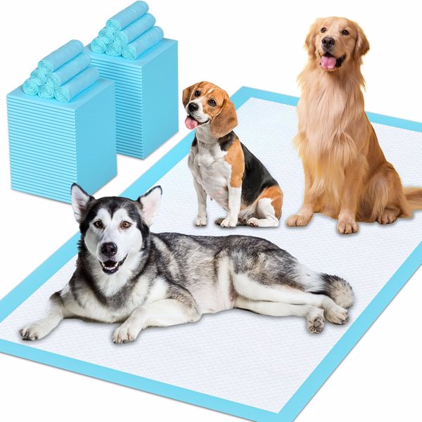 Puppy Pee Pads for Dogs 31"x47" 40 Count, Pee Pads Extra Large, Leak-Proof & Super Absorbent Dog Pee Pads, Thicken Disposable Potty Pads Puppy Training Pads for Cats Rabbits (40PCS)