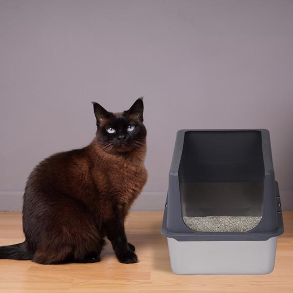 2 Pack XL Stainless Steel Cat Litter Box with Lid, Extra Large Litter Pan with High Sides, Easy Cleaning, Include Double Layer Litter Mat and Scoop, Gray