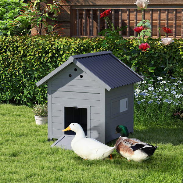 Duck House/ pet House 