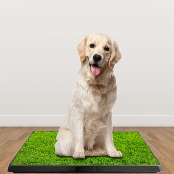 Dog Toilet Indoor Puppy Training Pad, Dog Potty Pet Training Grass Mat, Removable Waste Tray for Easier Clean Up, Artificial Turf, 25"×20"