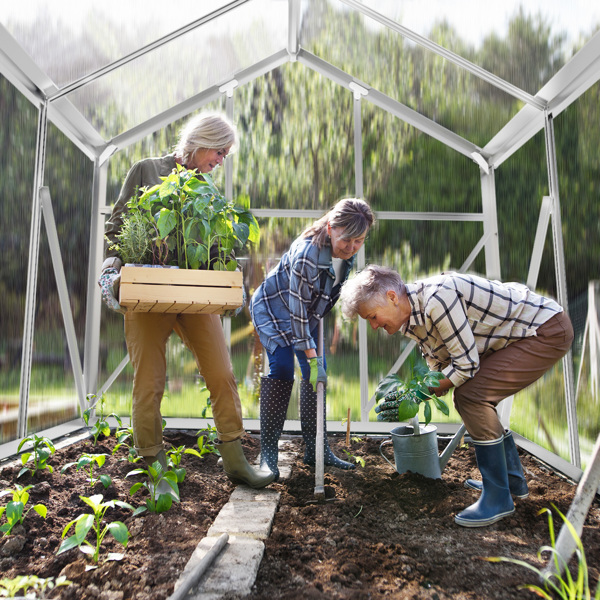 6x10ft Hybrid Polycarbonate Greenhouse Silver