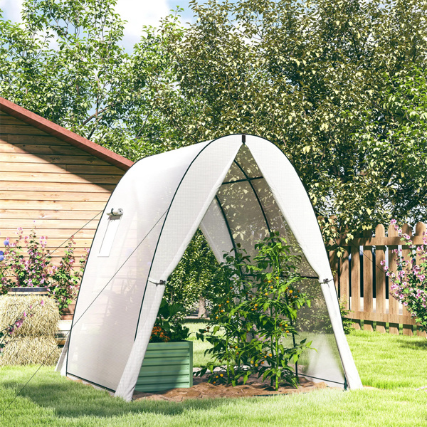 Greenhouse with 2 Doors 6' x 6' x 6.6',  White