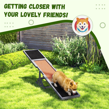 Dog Agility Ramp 、Pet Seesaw 