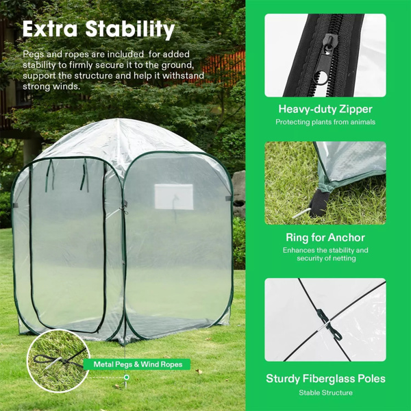 49''x49''x63'' Mini  Greenhouse w/ Detachable Base ＆ Wind Ropes