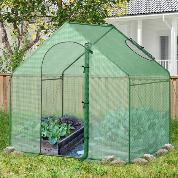 Green greenhouse/outdoor conservatory