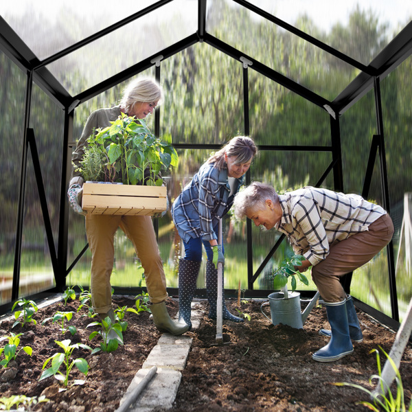 6x8ft Hybrid Polycarbonate Greenhouse Black