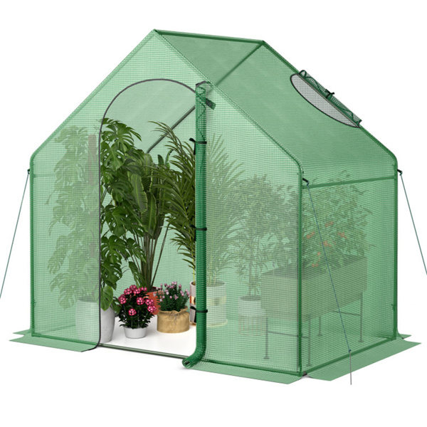 Green greenhouse/outdoor conservatory