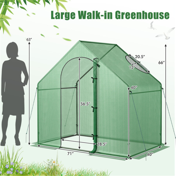 Green greenhouse/outdoor conservatory