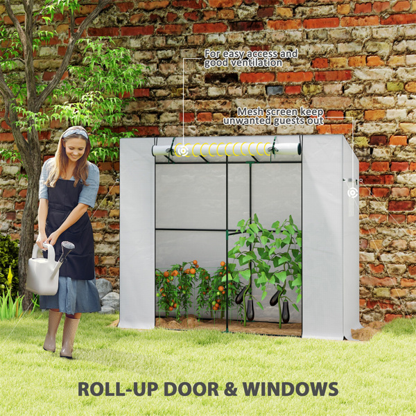 Mini Walk-in Greenhouse ( Amazon Shipping)（Prohibited by WalMart）