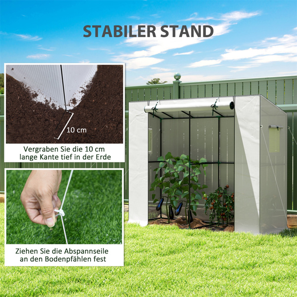 Mini Walk-in Greenhouse ( Amazon Shipping)（Prohibited by WalMart）