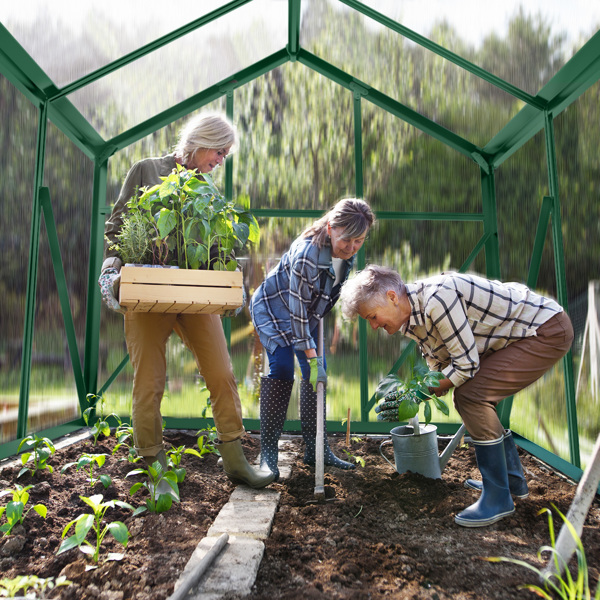 6x10ft Hybrid Polycarbonate Greenhouse Green