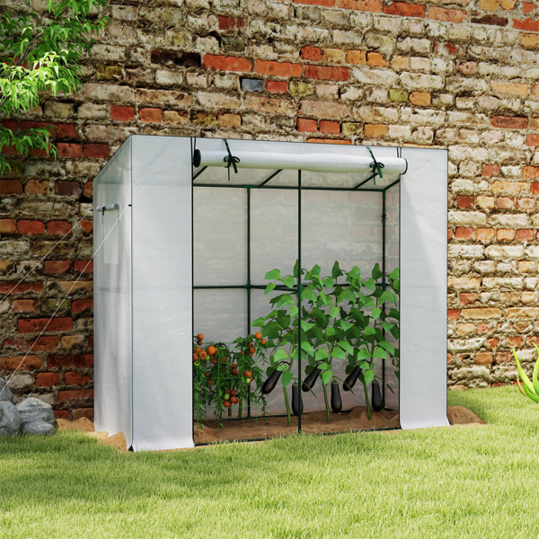 Mini Walk-in Greenhouse ( Amazon Shipping)（Prohibited by WalMart）