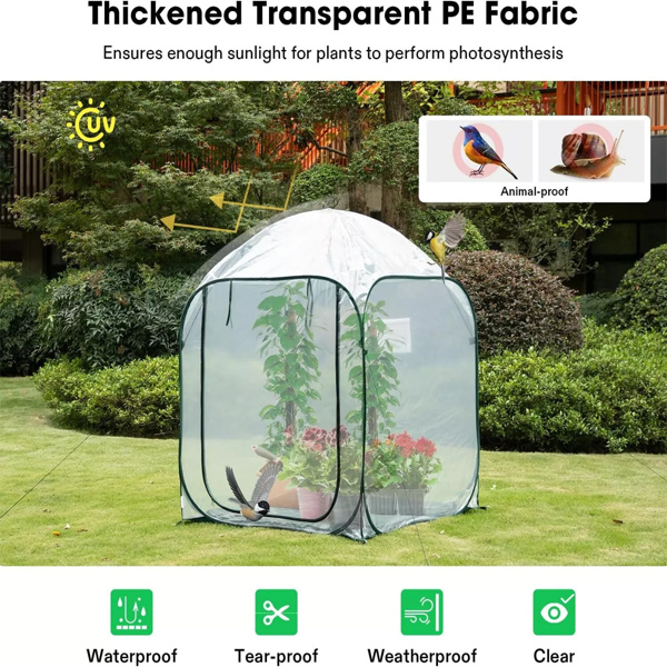 49''x49''x63'' Mini  Greenhouse w/ Detachable Base ＆ Wind Ropes